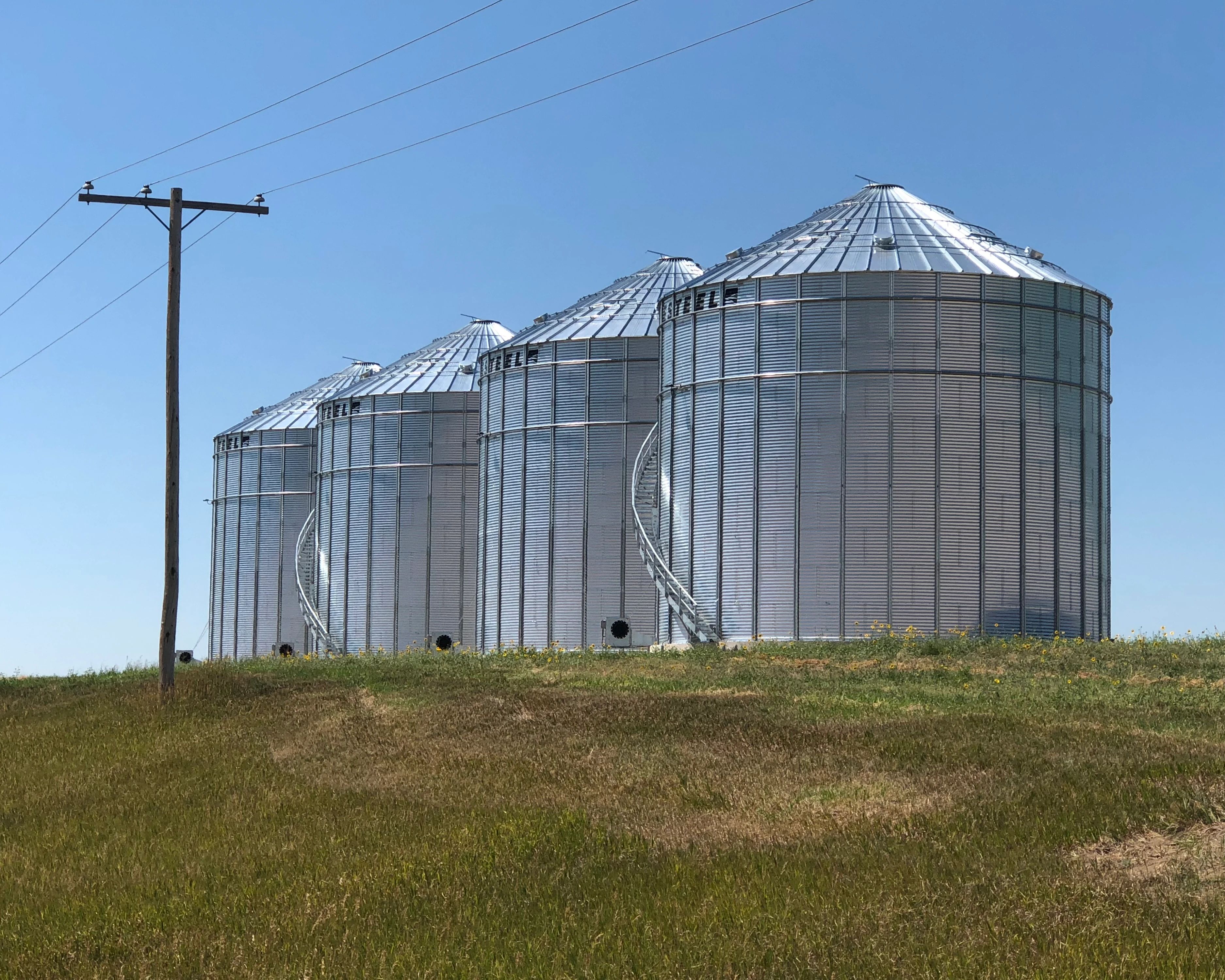 An image of westeel grain bins behind a power pole